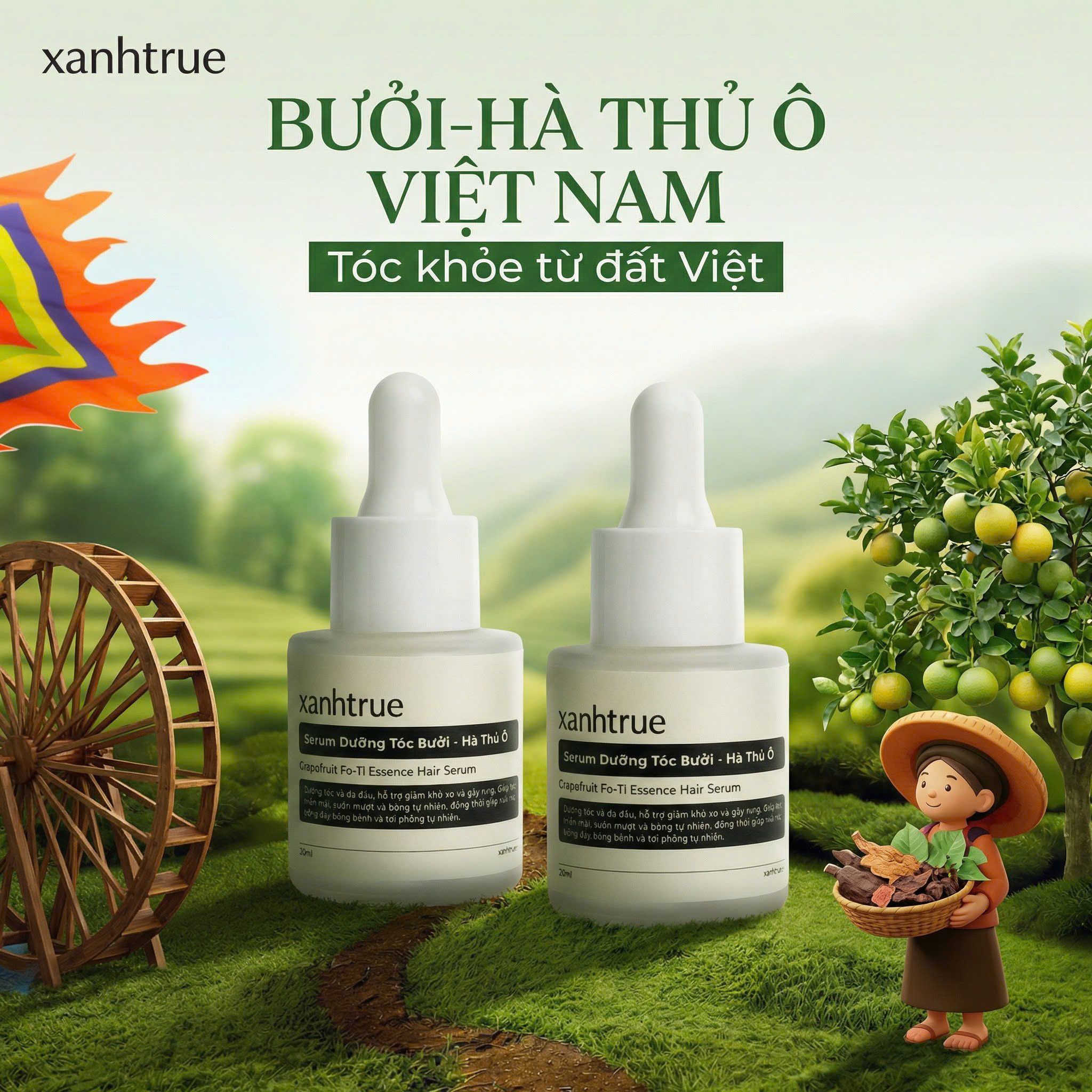 Bộ kích mọc tóc bưởi hà thủ ô xanhtrue