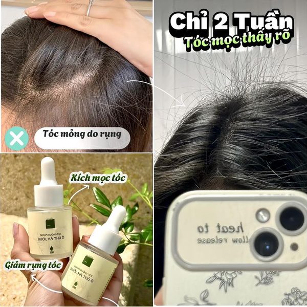 Tiến trình 4 mốc thời gian